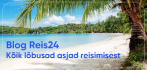 Reis24 blog ee