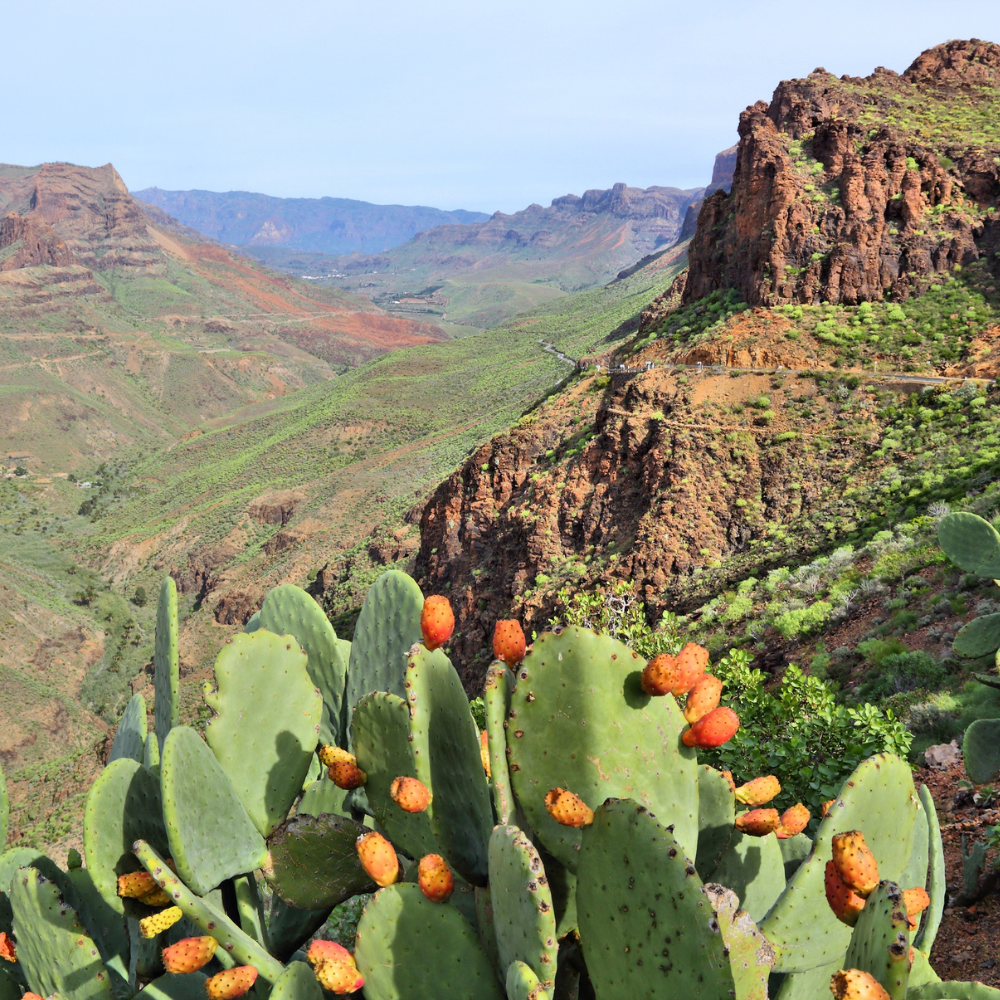 Gran Canaria